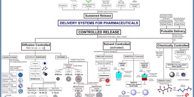 Delivery Systems for Pharmaceuticals: summarized by Roman A. Valiulin